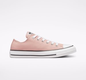 Pink Women's Converse Chuck Taylor All Star Seasonal Low Tops | QNJ-435791