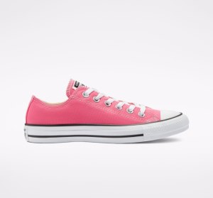 Pink Women's Converse Chuck Taylor All Star Seasonal Low Tops | VXW-679453
